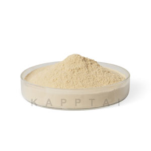 Bubuk kuning telur kering segar alami untuk makanan 100% bubuk kuning telur lesitin Kualitas Makanan Murni 100% bubuk kuning telur murni - Product Image 4