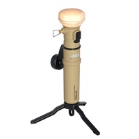Lampe d'ambiance rétro d'extérieur à longue autonomie pour le camping sauvage, avec batterie externe grande capacité, tout-en-un, portable pour le camping