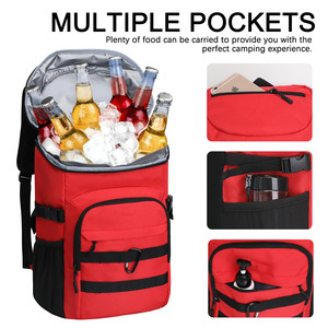 Insulated Lightweight Polyester <b>Cooler</b> <b>Backpack</b> 24L Waterproof Travel Lunch Bag for Hiking - Product Image 4