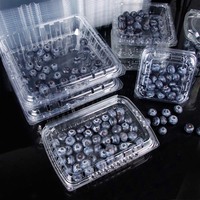 Transparante PET Blueberry Clamshell Verpakking Doos met Scharnierend Deksel Fruitcontainer geventileerde Plastic Punnet voor Bessen Groothandel