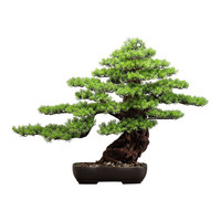 Nouvelle plante artificielle de style chinois en pot pour la décoration intérieure du salon et du bureau
