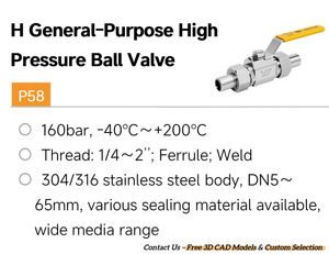 Válvulas de Bola EAGLE de Acero Inoxidable 304/316L, Fabricante, Alta Presión, 1/4-2'', para Agua, Soldadura BSPP G BSPT R, Tipo de Férula KHB - Product Image 2