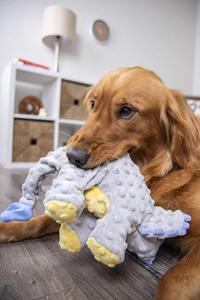 <strong>Dog</strong> Stuffed Plush <strong>Toys</strong> <strong>Dinosaur</strong> Shape Guard Squeaky Chew <strong>Toys</strong> - Product Image 2