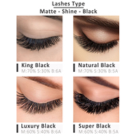 Extensions de cils J B Lash Extension, marque privée, extensions de cils individuelles, courbure C D L, synthétique, vison coréen, OEM personnalisé, sur mesure