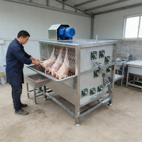 Équipement de nettoyage pour plumeuse à poulet, machine à épiler commerciale automatique en acier pour poulets et canards