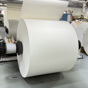 Rouleau de papier enduit de PE double/simple face 150-320 g/m² pour la fabrication de gobelets à boissons chaudes - Product Image 2