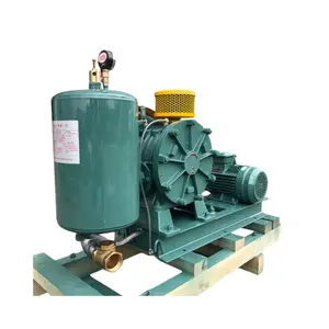 Buy 2024 New Design Multifunctional Waste Water Treatment Rotary Lobe Blower