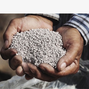 <span class=keywords><strong>Engrais</strong></span> composé personnalisé de haute qualité en vente d'usine Npk <span class=keywords><strong>12</strong></span> <span class=keywords><strong>6</strong></span> <span class=keywords><strong>22</strong></span> <span class=keywords><strong>Engrais</strong></span> organique Npk Granulés Npk - Product Image 4