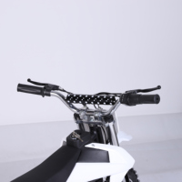 Moto électrique tout-terrain Leafsport M3 Mini 650w 36v 7.8Ah pour enfants, motocross