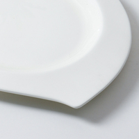 Assiette de Dîner en Porcelaine Fine Blanche pour Restaurant, Assiette à Dessert Personnalisée pour Hôtel – Offre Spéciale