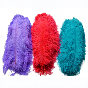 زهرية أزهار حفلة 55 ، 60 في الحرف اليدوية الكبيرة التي تصنعها بنفسك أسود أبيض أعمدة من ريش النعام لديكور المنزل لحفلات الزفاف - Product Image 1