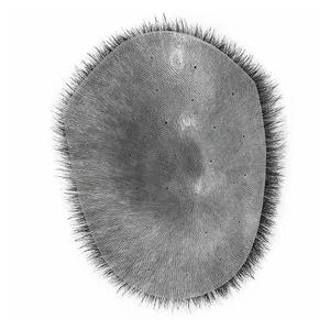 Zana Prothèse capillaire biologique pour homme, tissée à la main, cheveux brésiliens, ondulation naturelle, cheveux courts, pour calvitie, densité 100% - Product Image 5