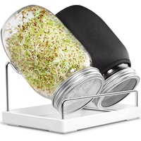 Vente en gros de bocaux en verre nordique pour la culture de graines de 32 oz
