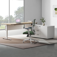 Bureau debout électrique sur mesure à hauteur réglable avec rangement latéral et panneau d'intimité pour bureau de direction
