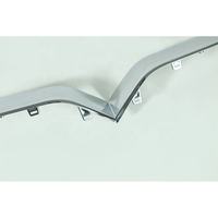 Grille de moulage chromé 1047022-00-D 1047022 pour Tesla Model X