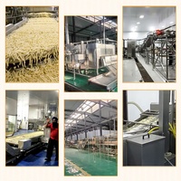 1000 kg/h usine prix ligne de production commerce automatique pommes de terre congelées frites machines équipement de traitement