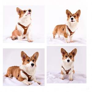 Loudik - Arnés de Cuero Suave para Perros, Correa para Pasear Perros, Cuerda para Perros Corgi de Tamaño Pequeño, Venta al por Mayor - Product Image 5