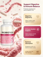 Jn OEM/ODM Vente en gros Probiotiques Prébiotiques Enzymes Digestives en Capsules - Sans Gluten 60 Capsules pour Adolescents, à prendre 2 fois par jour, Durée de 24 mois