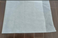 Tissus synthétiques non tissés biodégradables palmier dattier protégeant filet sac d'emballage en plastique dattes sac de fruits couverture de fruits