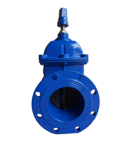 Katup Gerbang Flens Besi Cor Ductile DN150 dengan Roda Putar untuk Air, Dudukan Resilien, Standar BS5163 DIN F4 F5 PN10/16/25