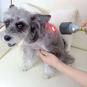 Klasse 4 Veterinär-Laser therapie geräte 810nm 980nm Für Tiere Reduzieren Sie Schmerzen und Entzündungen - Product Image 2