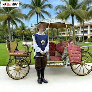 Carruaje Eléctrico Clásico de Lujo para Bodas y Turismo, Material de Hierro, 150-250hp - Product Image 6