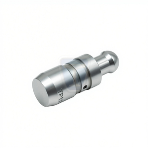 Válvula Hidráulica de Empuje Lateral de Escape TP111 para AUDI TT Roadster (FV9, FVR) <span class=keywords><strong>2.0</strong></span> <span class=keywords><strong>TDI</strong></span>, Levantaválvulas para MULTICAR Tremo <span class=keywords><strong>TDi</strong></span> BFS174S - Product Image 1