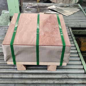 Plaque de gril à <span class=keywords><strong>plancha</strong></span> et assiette de service en acier inoxydable de qualité supérieure, anti-corrosion durable, parfaite <span class=keywords><strong>pour</strong></span> le service alimentaire et la cuisine - Product Image 4