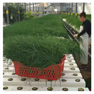 Sistema de plantación hidropónica vertical de tamaño pequeño que ahorra espacio Plantine de tubo cuadrado - Product Image 4