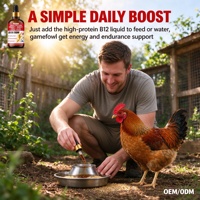 100 ml Vitamine B12 Puissante 5 000 UI, Liquide Oral pour Poulets et Coqs, Stimulant de Vitalité Immunitaire, d'Énergie et d'Endurance, Améliorant les Performances