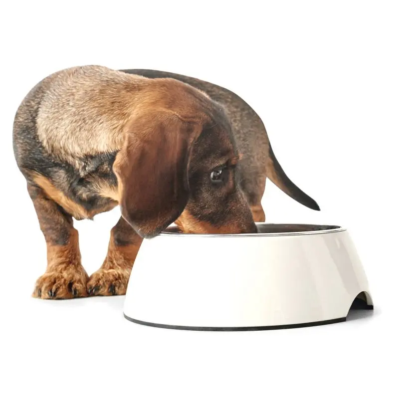 Boa qualidade limpeza tigela de comida automática gato e cachorro-alimentador automático elevado cães grandes parede dupla stainle bowlss aço