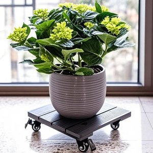<span class=keywords><strong>Jardinière</strong></span> mobile <span class=keywords><strong>DIY</strong></span> en WPC – Support durable et résistant aux UV en composite <span class=keywords><strong>bois</strong></span> pour terrasses - Product Image 5