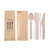Ensemble de couverts jetables en bois de bouleau biodégradable, ustensiles portables avec couteau, fourchette, cuillère, serviette et sel, application multi-scènes