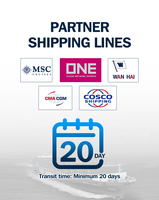 Transitaire Chine-USA, expédition DDP, agent maritime USA, livraison porte-à-porte