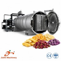 Industriële horizontale tank vacuümvriesdroger 200 vierkante meter lyofilisator voor fruit-, groente- en voedselverwerking
