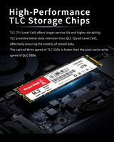 Great Wall GW1000 M.2 2280 SATA III SSD (NGFF) 128GB-2TB 3D NAND TLC Internal Solid State Drive untuk Desktop hingga 540MB/s Kecepatan Baca