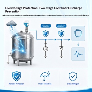 Interruptor de Nivel Capacitivo Serie FTI de E+H Endress+Hauser, Compensación Automática de Adhesión, Instrumento Original de Fábrica Hecho en China - Product Image 2