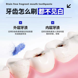 Pasta Dental Blanqueadora Especial 100g Para Adultos Elimina Manchas y Mal Aliento - Product Image 4