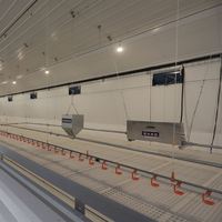 Système d'alimentation en chaîne pour coq et poule d'élevage automatique