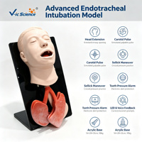 Modèle de tête d'entraînement à l'intubation trachéale pour adultes, taille réelle, en PVC, avec manœuvre de Sellick pour la gestion des voies respiratoires, certifié CE ISO ROHS CNAS