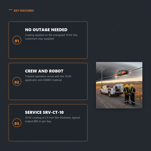 Service <span class=keywords><strong>de</strong></span> revêtement isolant pour lignes sous tension 10 kV sans coupure <span class=keywords><strong>de</strong></span> courant - Entreprise <span class=keywords><strong>de</strong></span> travaux - Product Image 3