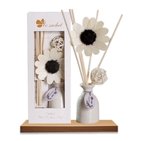 Diffuseur de parfum d'ambiance en céramique sans flamme, ensemble d'huiles essentielles d'aromathérapie longue durée 30 ml, sans BPA, écologique, pour chambre et bureau