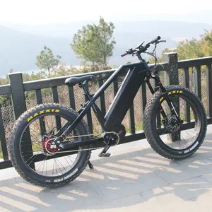 厂家批发八方中置ebike 48v 1000w铝框内5速电动城市自行车公路电动自行车