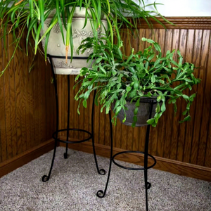 Macetas y Jardineras de Hierro para Interiores, Exteriores, Balcones y Jardines con Diseño Moderno Grabado con Láser e Impresión Tipográfica - Product Image 1