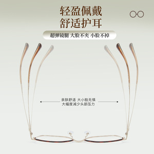 Gafas de Montura Completa de Aleación Danyang Butterfly, Unisex, con Lentes Acrílicas, Modelo 58251 - Product Image 4