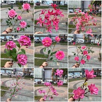 Simulierte Rosen in Rot-Magenta, Seidenblumen mit Webtechnik, Hochzeitsfotografie-Requisiten, Heimdekoration, Hotel-Dekoration, Weiche Chinesische Blumen