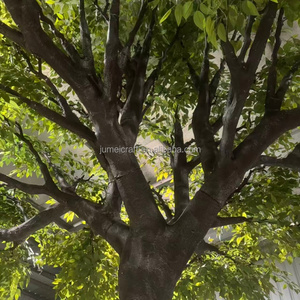 Árbol de Olivo Artificial de 3.6 m con Tronco de Madera Real, Resistente a los Rayos UV, Ecológico, para Decoración de Hogares, Jardines, Restaurantes y Hoteles - Product Image 6