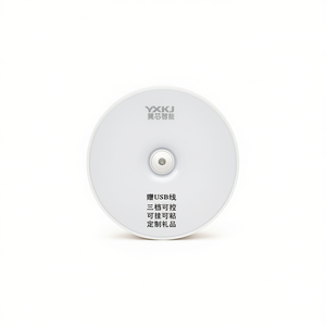 LUZ <b>LED</b> Night <b>Lights</b> with Sensor Wholesale Product - Product Image 1