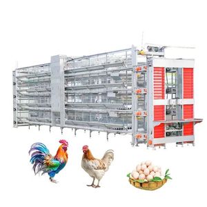Vente Chaude <span class=keywords><strong>Cage</strong></span> Automatisée pour Poules Pondeuses Équipement d'Élevage Avicole Batterie de Cages pour Ferme Avicole - Product Image 3