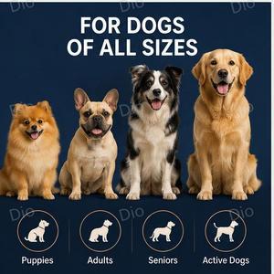 Gotas Multivitamínicas para Perros Dio OEM/ODM, Suplemento de Vitaminas y Mejora de la Inmunidad para Cachorros y Perros Adultos - Product Image 3